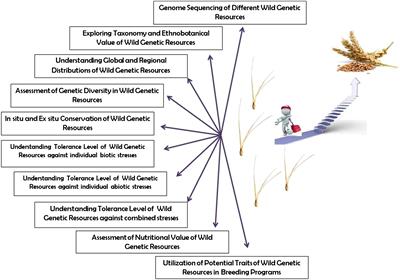 Editorial: Wild plant genetic resources: a hope for tomorrow